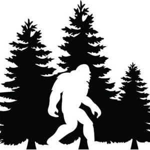 20oz Tumblers and shirt prints!!!!